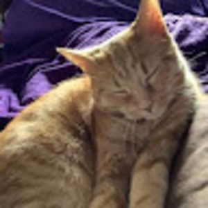 Meet your Posher, Fuzzylightbulb